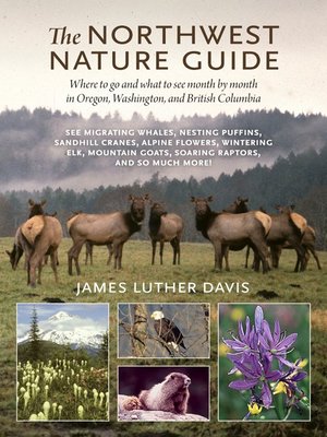 cover image of The Northwest Nature Guide